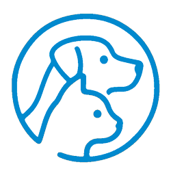 Logo NOVAPET